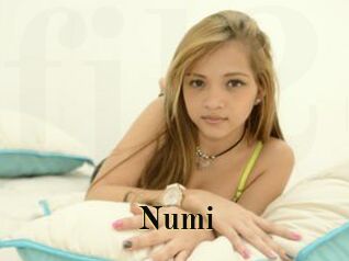 Numi Films 2 Q