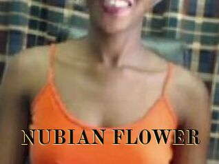 _NUBIAN_FLOWER_