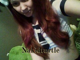 nakidturtle Films 2 Q
