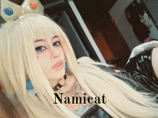 namicat Films 2 Q