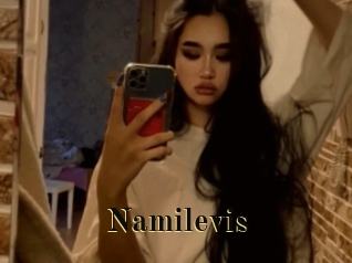 Namilevis