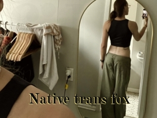 Native_trans_fox