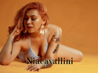 Niacavallini