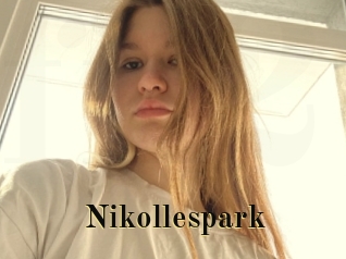 nikollespark Films 2 Q