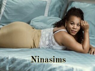Ninasims