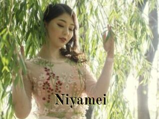 Niyamei