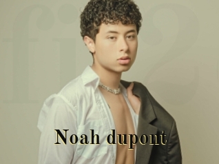 noah_dupont Films 2 Q