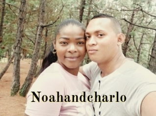 Noahandcharlo