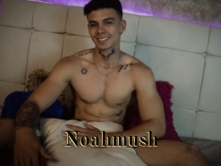 noahmush Films 2 Q