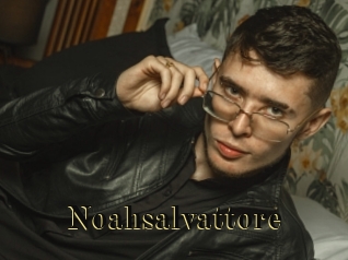 Noahsalvattore