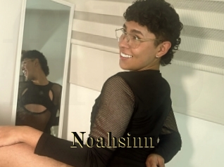 Noahsinn