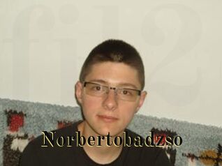 Norbertobadzso