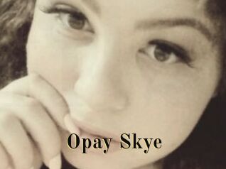 Opay_Skye
