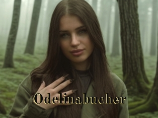 Odelinabucher