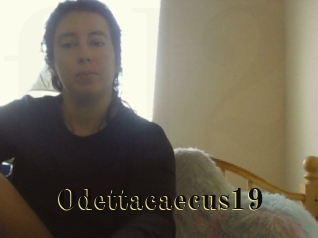 Odettacaecus19