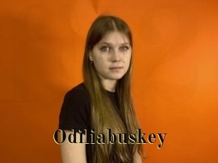 Odiliabuskey