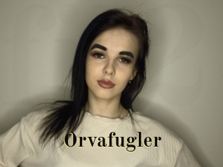 Orvafugler