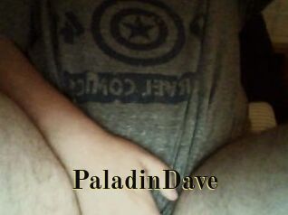 PaladinDave Films 2 Q