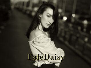 PaleDaisy Films 2 Q
