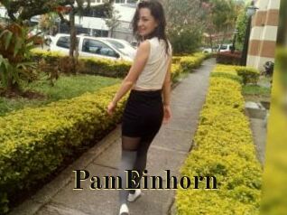 PamEinhorn