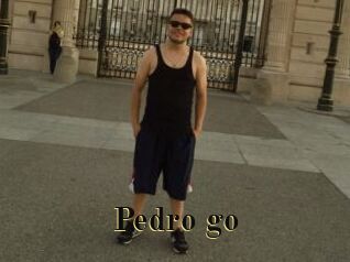 Pedro_go