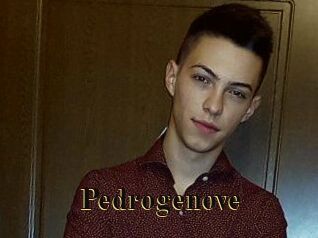 Pedrogenove