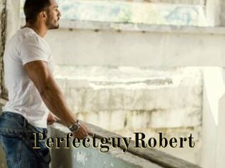 PerfectguyRobert