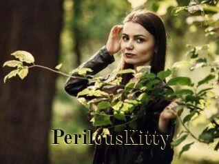 Perilous_Kitty
