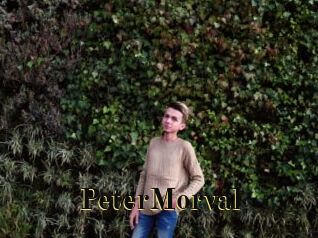 PeterMorval Films 2 Q