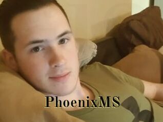 PhoenixMS