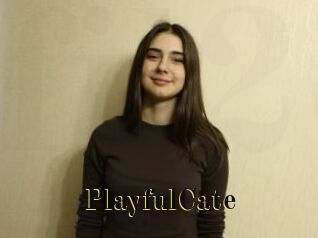 PlayfulCate Films 2 Q