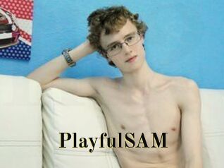 PlayfulSAM