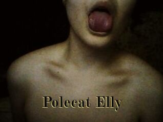 Polecat_Elly