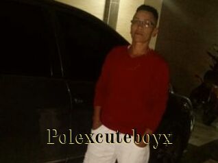 Polexcuteboyx