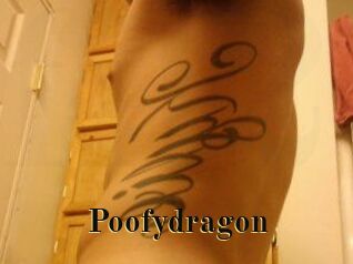 Poofydragon