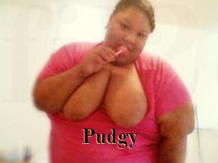 Pudgy