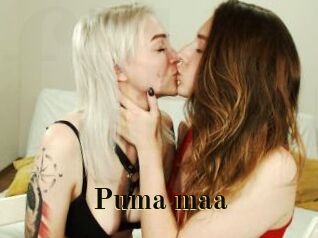 Puma_maa