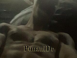 PunaniDr
