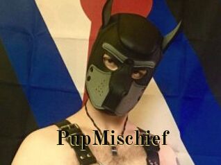 PupMischief
