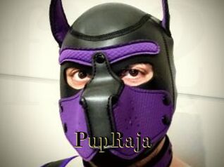 PupRaja