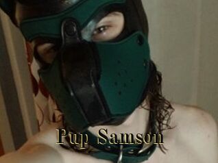 Pup_Samson