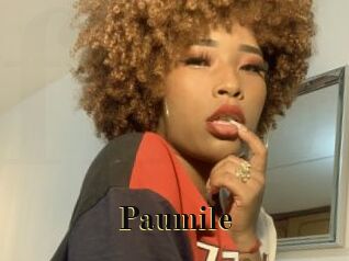 Paumile