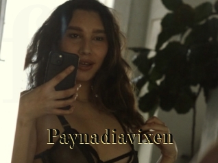 Paynadiavixen