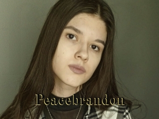 Peacebrandon