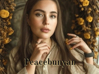 Peacebunyan
