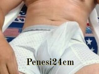 Penesi24cm