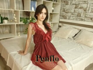 Penflo