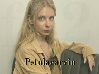 Petulacarvin