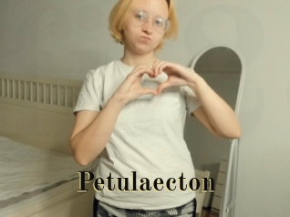 Petulaecton