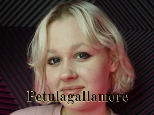 Petulagallamore